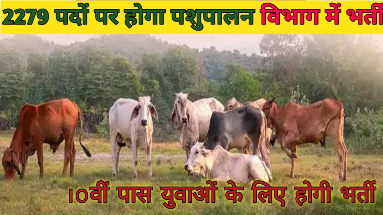 Pashupalan Vibhag Vacancy